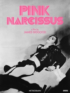 Pink Narcissus | eBay
