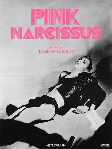 Pink Narcissus R2025 U.S. Poster