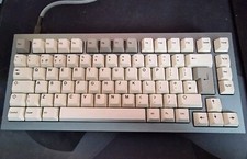 Custom Keychron Q1 Hotswappable - H1 Switches & EPBT Ivory Keyboard (75%)
