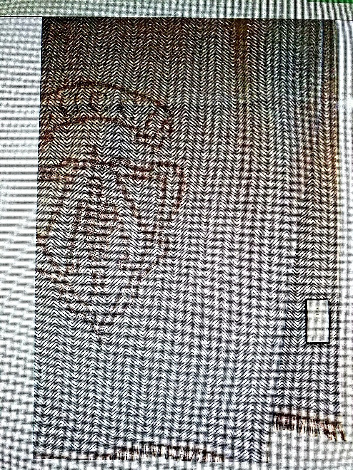 Écharpe GUCCI HYSTERIA CREST GG LOGO SAPHIR LAINE GRISE sergé franges 60