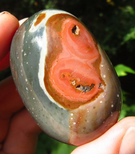 POLYCHROME JASPER VITALITY & CREATIVITY POLISHED CRYSTAL PALMSTONE MADAGASCAR *2 - Picture 7 of 7