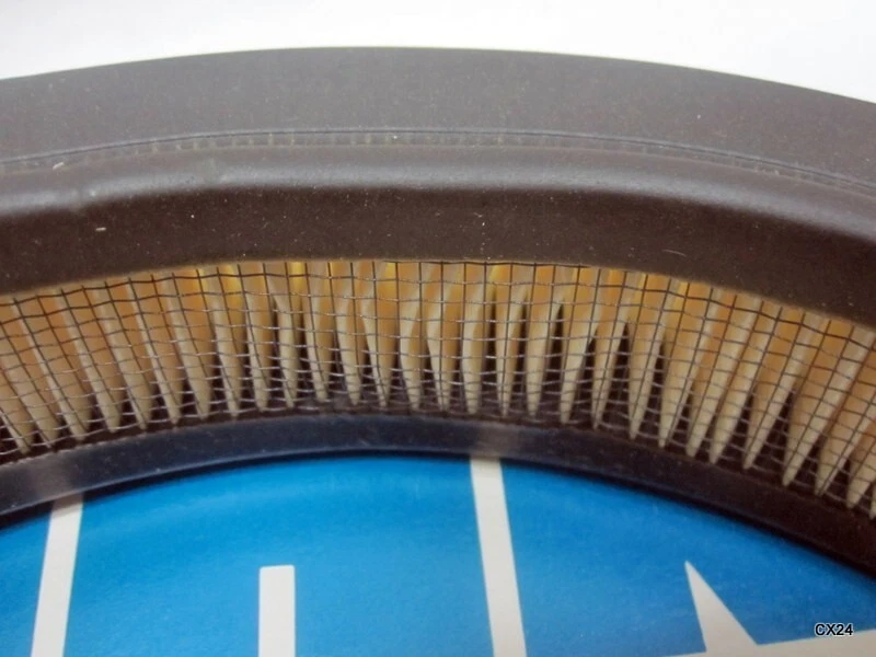 Filtro de aire Champ AF640 P524370 para Ford Mustang 1979-1982 Foto 3 de 4