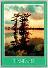 Tennessee Sunset Postcard 1992 Gatlinburg Lake Tree Reflection