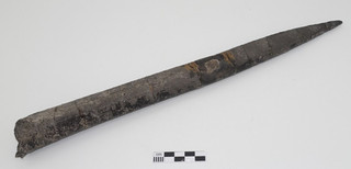 Fossil Belemniten Donnerkeil Rostrum Versteinerung SEHR GROSS: 390 mm