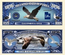 OUR UTAH CALIFORNIA GULL NOVELTY NOTES (25 EA)