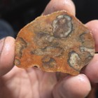 Lot of 4 Lapidary Slabs , 76g Cabbing — photo 4