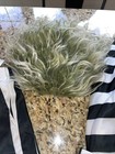 Spirit Halloween Beetlejuice Costume Child Size Large 12-14 Plus Wig Retails $60 — photo 3