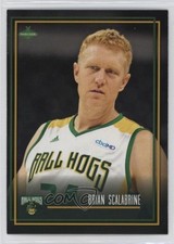 2019 Parkside BIG3 Brian Scalabrine #50 1c1
