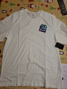 jordan flight classic