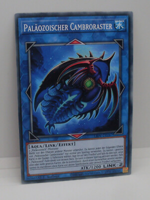Yu-Gi-Oh Karte - Paläozoischer Cambroraster - Aqua / Link / Effekt - Yugioh Neu