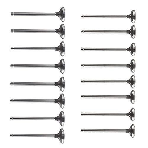 labwork 16 Pieces Intake Air-out Valves Replacement for Acura Integra 1990-2001
