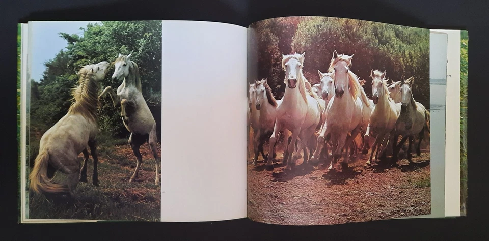 Chevaux de Camargue  Hans Silvester  1975 CHENE Illustré Grand format - Photo 2/4