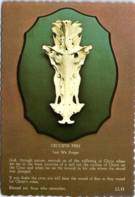 Vintage Postcard Holding The Flag Up High Cat Gator Card Co Fort Myers Florida