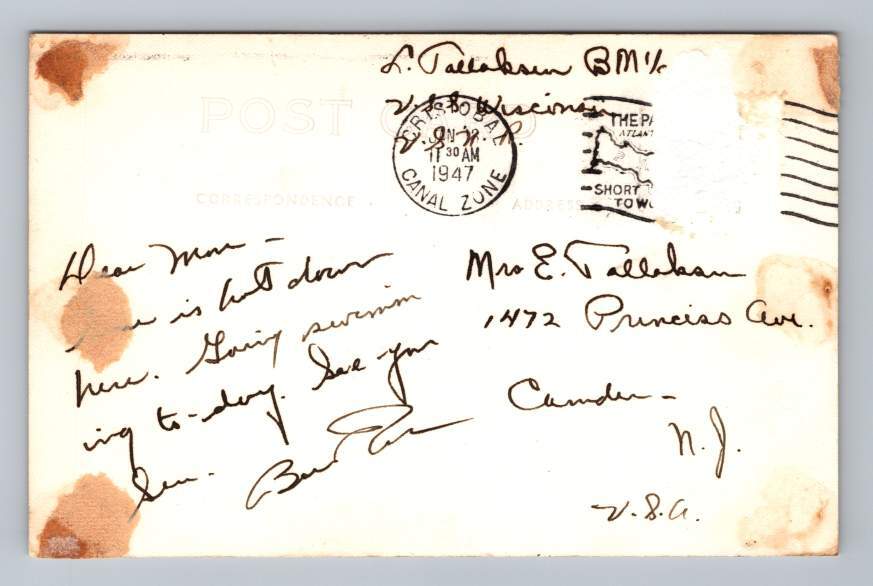 Vintage Panama Postcard PANAMA INTERIOR Jungle Scene Canal Zone