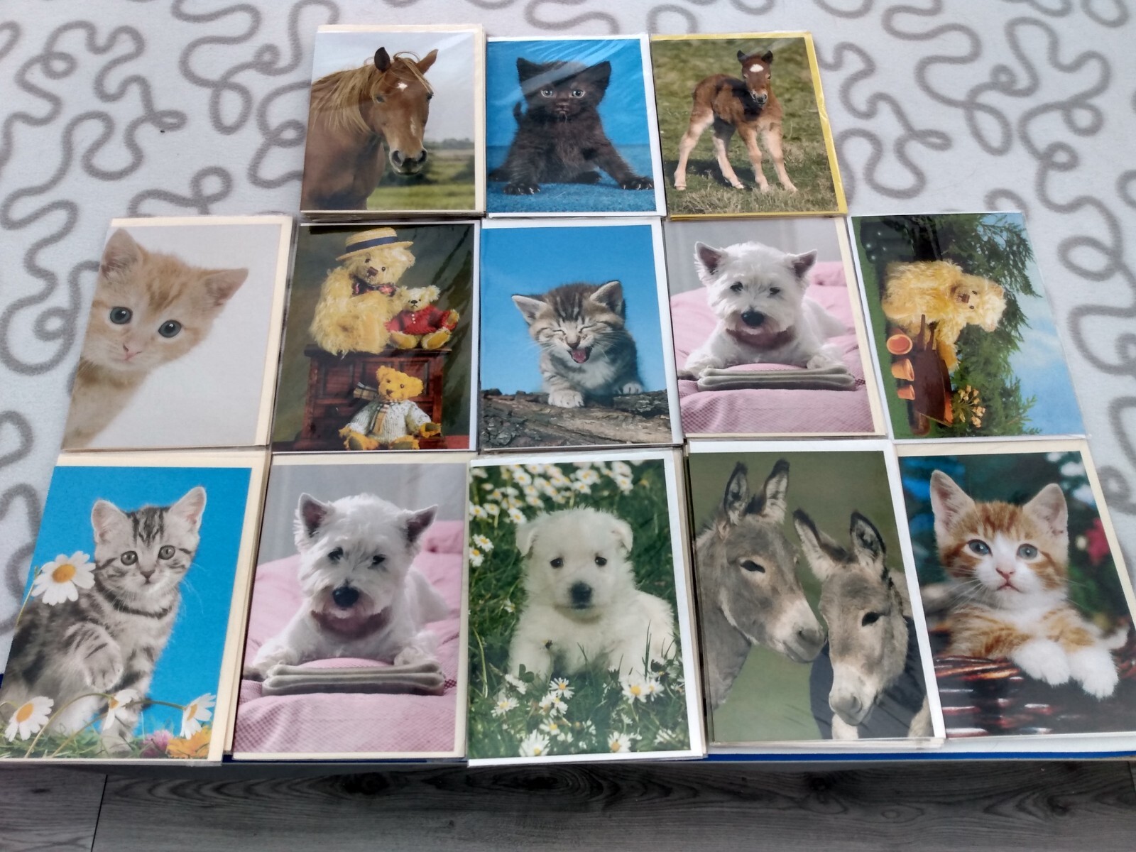 Animal Greetings Cards Trade Pack of Cards. eBay