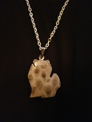 Petoskey Stone Necklace - In The Shape 