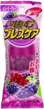 Kobayashi Breath Care Chewable 25 Tablets Grape – Refreshing Oral Freshener