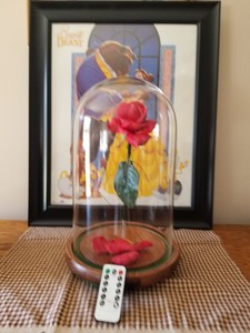 Enchanted Rose Replica Beauty And The Beast With Remote Music Box Ebay Enchanted Rose Replica Beauty And The Beast With Remote Music Box Ebay