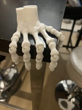 Modèle anatomique squelette de la main en plastique blanc (os de la main)