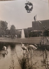 alte Postkarte Bundesgartenschau 1957