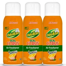10 Oz. Orange Real Citrus Air Freshener Spray, Natural Air Freshener for Home, R