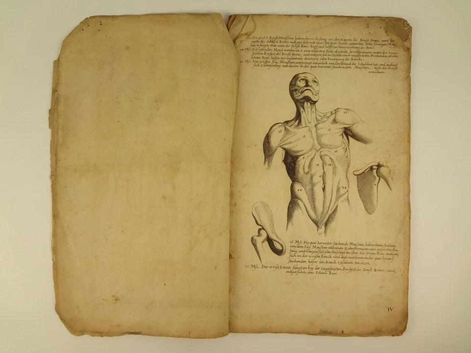 1750 L'Anatomie dei Pittori del Signore Carlo Cesio and Rerum Magni Concilii - Image 4 of 4
