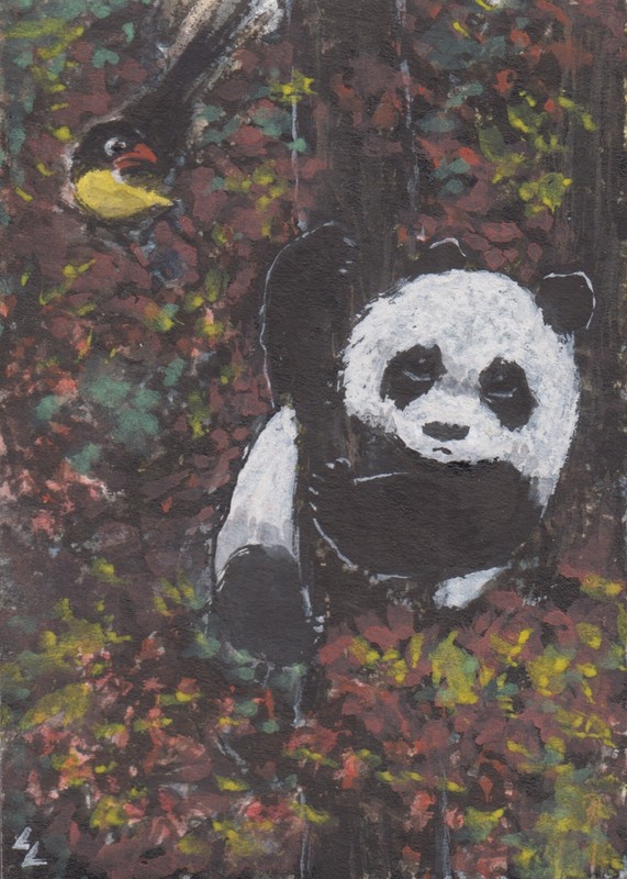LinLi888 ACEO Original Art Watercolor Acrylic Painting Panda and Bird 26061005
