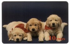 10u كلب Retriever كلاب. TEST (Reverse Blank) هاتف Card