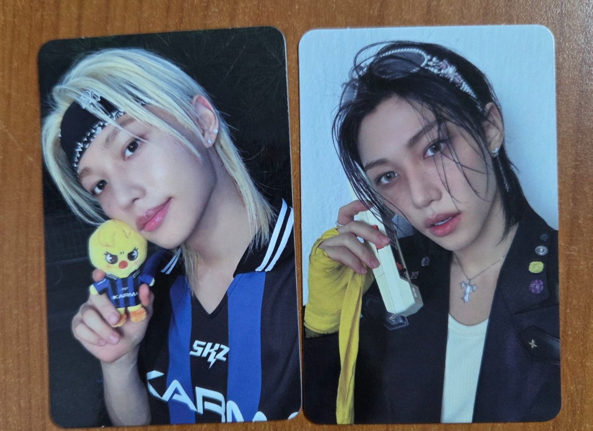Stray Kids Felix Photocard Set Official 
