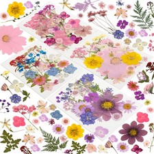 204 St&uuml;ck getrocknete gepresste Blumen zum Basteln aus Kunstharz, echt gro&szlig;, lila rosa
