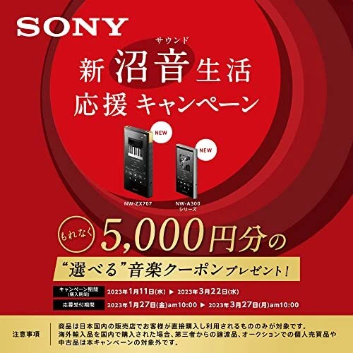 SONY WALKMAN 32GB Hi-Res A300 Series NW-A306 Audio Player Blue NW