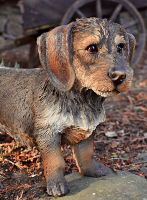   Rauhaardackel Garten Figur Dackel Lebensecht 50cm Teckel Hund Esschert Deko GW
