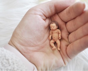 Ooak Reborn Baby Hand Made Full Silicone Miniature Baby Ebay