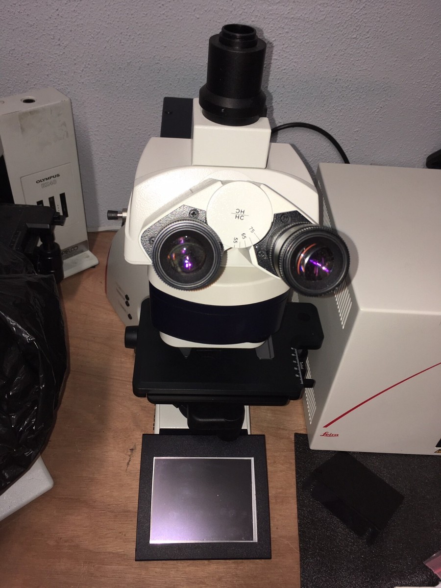 Leica DM5000B DIC trinocular fluorescent microscope