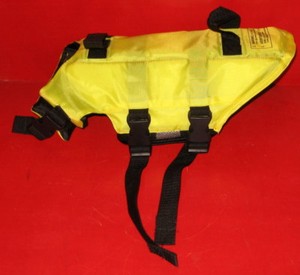 Swimways Life Jacket Size Chart