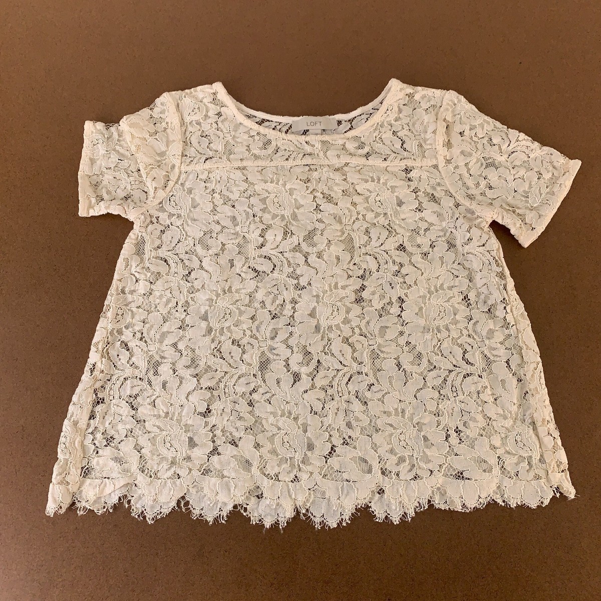 Ann Taylor LOFT Women's Small Cream Sheer Lace Short Sleeve Round Neck  Blouse