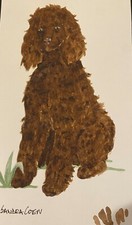 Irish Water Spaniel  original watercolors by Sandra Coen