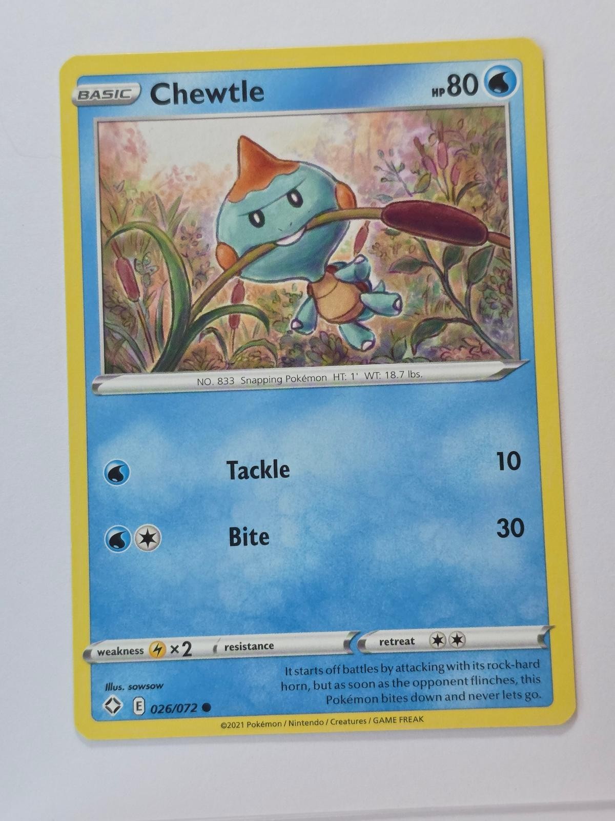 CHEWTLE 026/072 COMMON SHINING FATES NM/M POKEMON