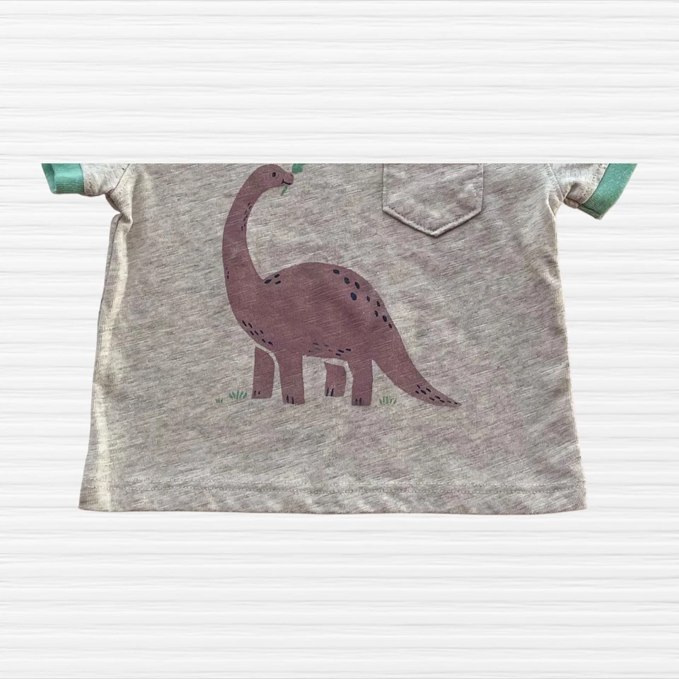 Camiseta Jumping Beans Bebé Niños Dinosaurio Gris/Verde Borde Manga Corta Talla 3M Foto 4 de 4