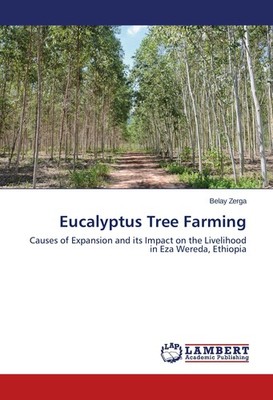 Eucalyptus Tree Farming Belay Zerga