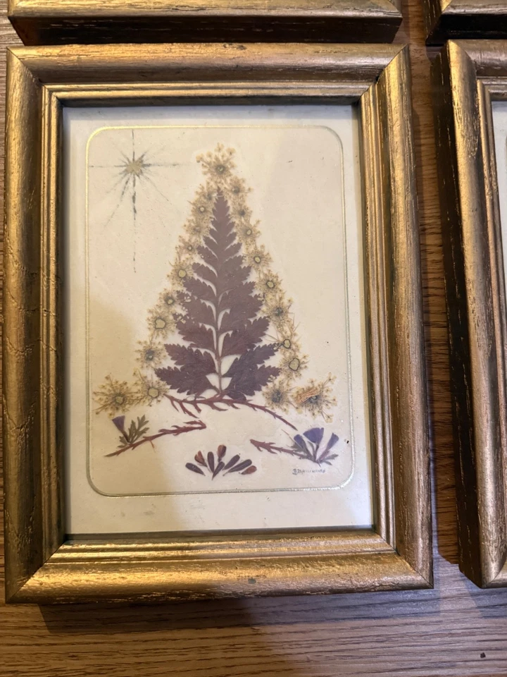 🎄Juego de 4 arte botánico enmarcado vintage de Navidad firmado 5x7 Foto 2 de 4