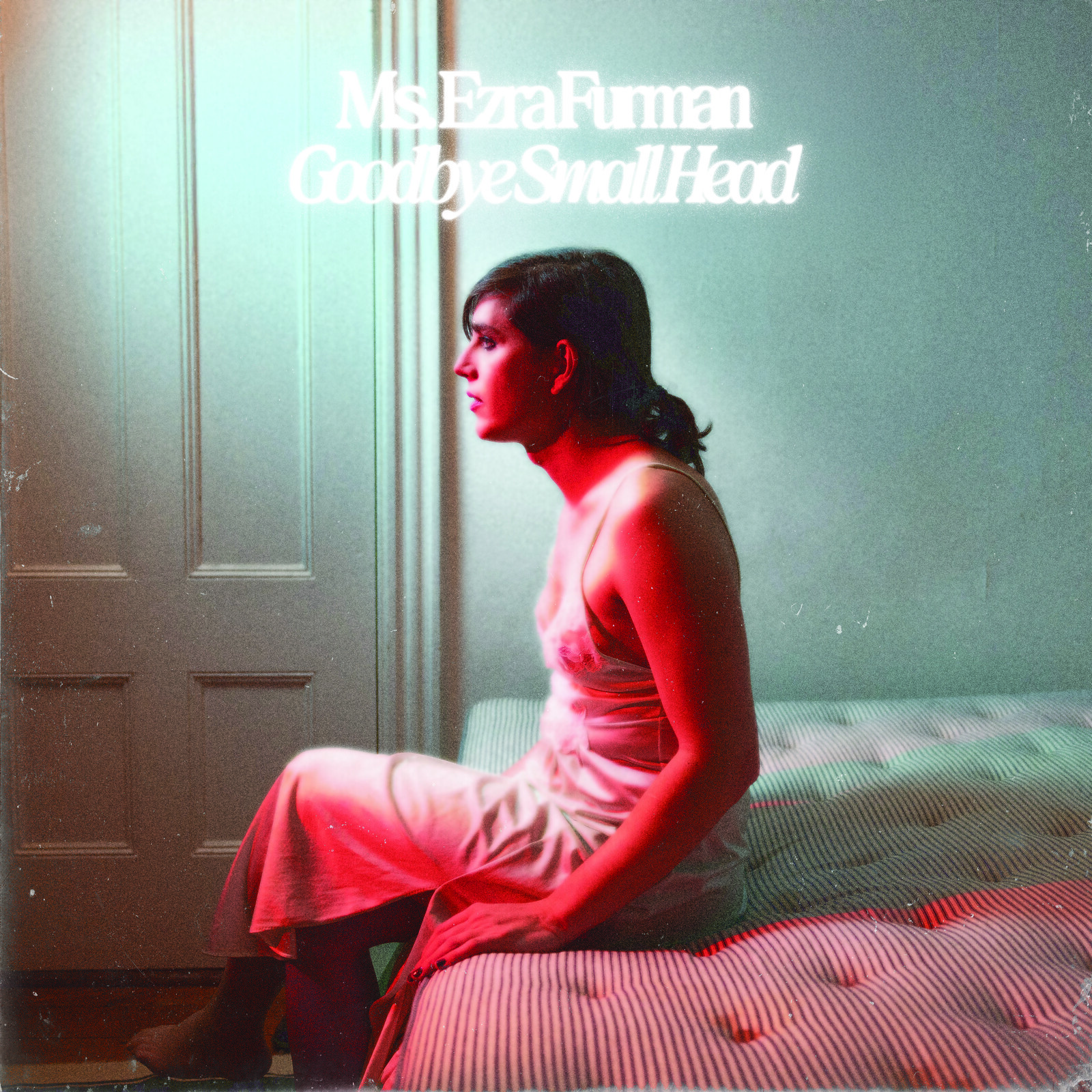 Ezra Furman Goodbye Small Head CD NEW