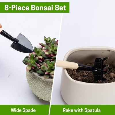 8-Piece Bonsai Tool Set with Pruning Scissors, Rake and Tweezers