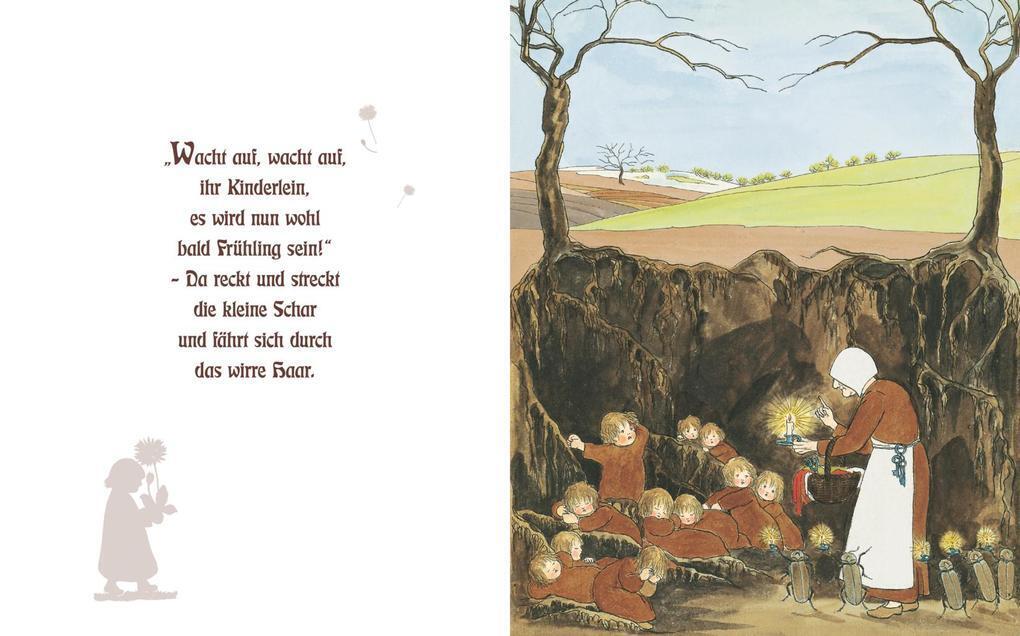 Thumbnail - Etwas Von Den Wurzelkindern: Pappbilderbuch | Sibylle Von Olfers |