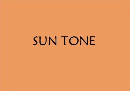 Factor Naturals Sun Tone 137 Pan stick foundation with Argan oil Made in the USA - Picture 3 of 4