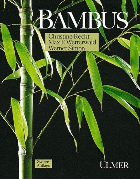 Bambus | Buch | 9783800165568