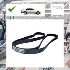 Continental Ctam Keilrippenriemen MERCEDES-BENZ C-CLASS (W202) C 180 (202.018) Continental Ctam Keilrippenriemen MERCEDES-BENZ C-CLASS (W202) C 180 (202.018)