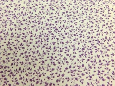 Purple Floral Vines and Bud Flowers on Cream - BTY - By The Yard