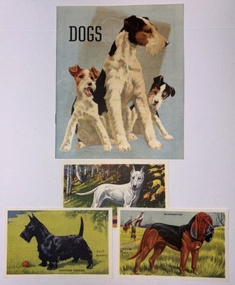 Dogs ''Paste Picture Here'' Vintage Booklet  Various Dog Breeds Gordon s Bread
