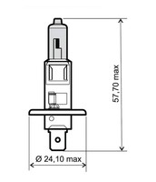 GlüHlampe Rms Halogenlampen 12V 55W H1 Birne, Weiß Mit Zulassung
